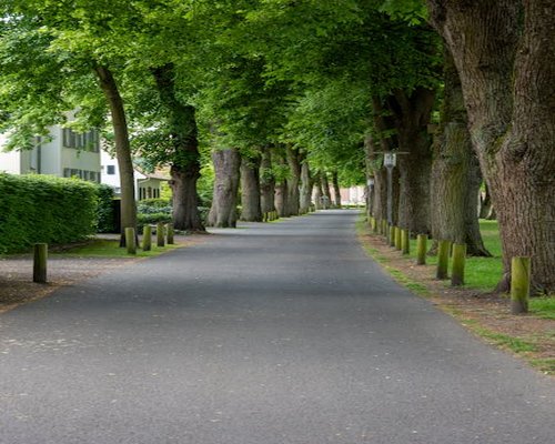 Walking path through a quiet city park
